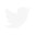social-twitter-grey